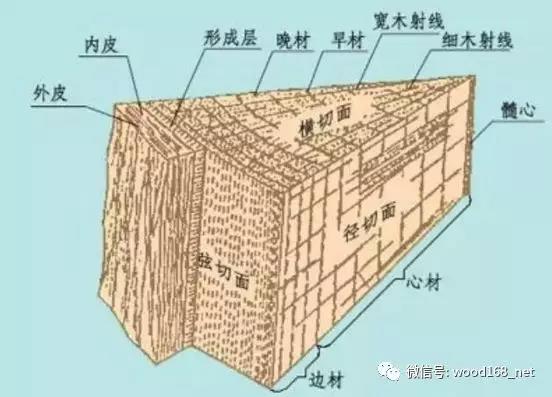 微信图片_20180409150846.jpg